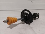 Front Shock Absorber
